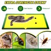 Qualirey 2 Pack Large 13" x 21" Snake Trap Glue