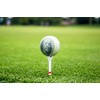 JP Lann 3 Pack $100 Dollar Bills Golf Balls -