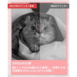 Phomemo M02 PRO 300DPI Mini Printer, Thermal Printer, Smartphone Memo Printer, Routouses, Photo Printer, Thermal Printer, Notebook, Photo, List, Label, Web, Sticky Notes, Word, Sticker Print,