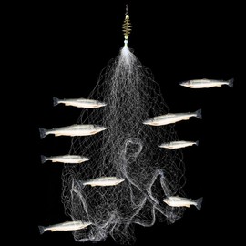 Net Design Net Nets Fishing Copper Spring Equipment Fishing Bolognese (5.5 x 5.5 cm, One Size)