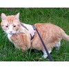 Mynwood Cat Jacket/Harness Desert Storm Combat Kitten up to 8month