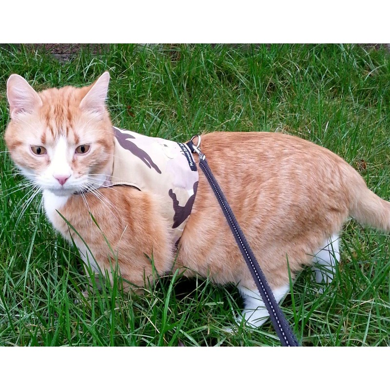 Mynwood Cat Jacket/Harness Desert Storm Combat Kitten up to 8month