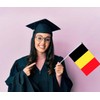 10 PCS Belgium Handheld Small Flag, Belgians Hand held Mini