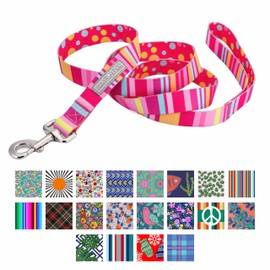 Lucky Love Dog Leash | Soft, Durable, Cute Female Dog Leash for Walking and Training Small to Medium Dogs - Molly, Large