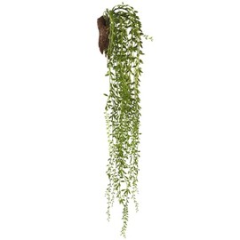 SilksAreForever 30" Sedum Succulent Artificial Plant w/Wall Hanger -Green (Pack of 6)