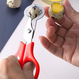 Quail Egg Scissors - Egg Separator For Quail Eggs | Quail Eggs Kitchen Shears | Quail Egg Scissors Opener | Steel Quail Egg Cutter Scissors | Quail Egg Cutter,Kitchen Utensils and Gadgets (Red)
