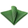 SHLAX&WING Dots Green Pocket Square for Mens Suit 12.6 inches