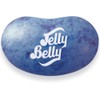 Jelly Belly Plum Jelly Beans - 10 Pounds of Loose Bulk Jelly Beans - Genuine, Official, Straight from the Source