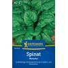 Kiepenkerl Matador 1007950 Spinach Seeds - Robust Vegetable Seeds for