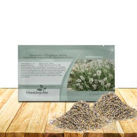 Outsidepride Ellagance Snow Lavender Seeds - 50 Pcs Perennial, Drought-Tolerant & Pollinator Friendly Herb Seeds for Planting Fragrant and Delicate Flowers with White Blooms for Xeriscaping Gardens
