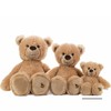 Schaffer Knuddel mich! 5660 Honey Plush Toy Teddy, Brown, 18