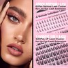Wispy Lash Clusters Natural Eyelashes Individual C Curl 260pcs Manga