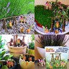 Mood Lab Fairy Garden - Accessories Kit with Miniature Figurines