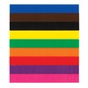 EAI Education Fraction Tiles: Blank Set of 51 - Without