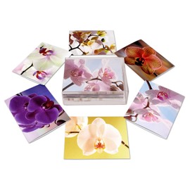 Small World Greetings Orchid Flower Note Cards 24 Count - Blank Inside with White Envelopes - A2 Size 5.5" x 4.25" - Floral Stationery - All Occasion Birthday, Thank You, and More