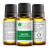 Bliss Of Earth 100% Pure Tea Tree Essential Oil -