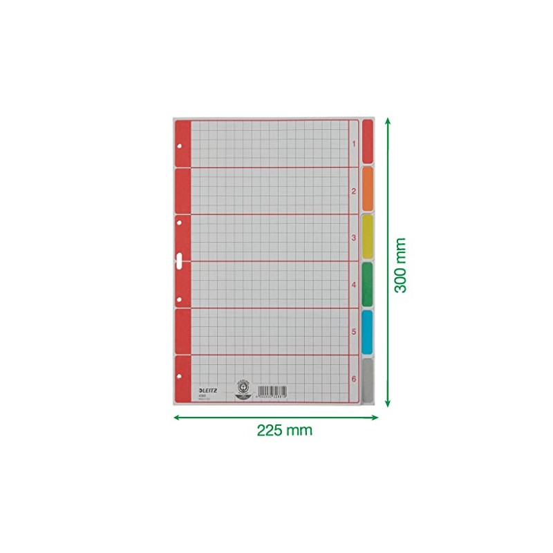 Esselte-Leitz with Cardboard White A4 6 sheets (Grey)