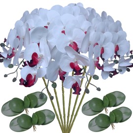 FagusHome 6 Pcs Artificial Phalaenopsis Flowers with 4 Bundles Leaves Artificial Orchid Flowers Stem Plants for Home Décor (Pure White)