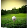 KOFULL 100 x White Wooden Golf Tee 70mm