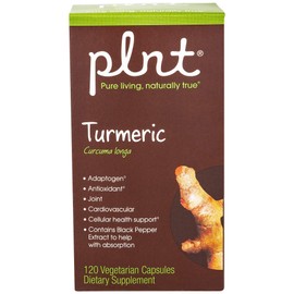 plnt Turmeric - with Natural, Non-GMO Indian Turmeric Root, Supports Joint Mobility, Cellular Health Support & Provides Antioxidant Benefits (120 Vegetarian Capsules)