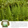 Herbalista Premium Loose Horsetail Tea (8 oz | 226g) |