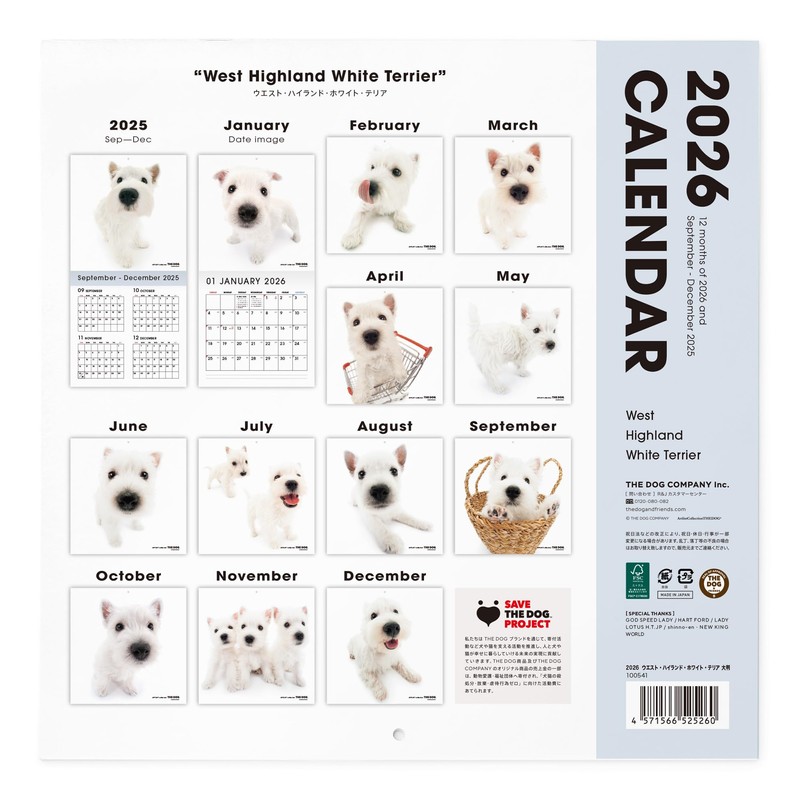 THE DOG 2026 Wall Calendar Large Size [West Highlands White