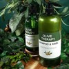 [Lungs_62] Moisturizing, Subtle Olive Scent Shampoo 1 + Body Wash 1 (46375483) / [룽스_62]보습감 은은한 올리브향 은은한 샴푸1+바디워시1 (46375483)