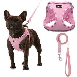 AMTOR Small Dog Harness with Leash Set, No Escape Easy Walk Puppy Harnesses for Training Walking, Step-in Reflective Soft Dogs Vest for XS S Medium Extra-Small Large Sized Dog(XL Size,Pink/White)