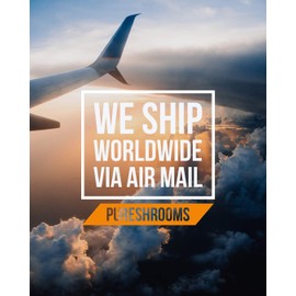 Pure Shrooms - Adaptogenic Shrooms Powder - 100 Servings - Blend of Organic Lion’s Mane, Reishi, & Cordyceps Mushrooms. Cognition, Immunity and Energy. Beta-D-Glucan 33%. No Added Starch. (100 grams)