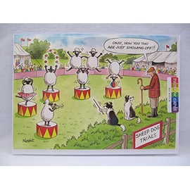 Rainbow Cards Sheep Dog SHOWOFFS Funny HUMOUROUS Birthday Card by LING Design