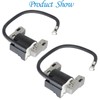 Autoparts 2 Pcs Ignition Coil 691060 592846 Replacement for Briggs