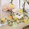 Lemon LED String Lights USB/Battery Operated Light String with Remote