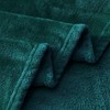 Aisbo Cuddly Fluffy Blanket Green - Fleece Blanket Warm Sofa