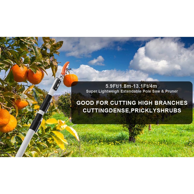 Quoddify 2 in 1 Tree Pruner & Pole Saws for