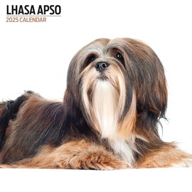 Lhasa Apso 2025 Modern Calendar
