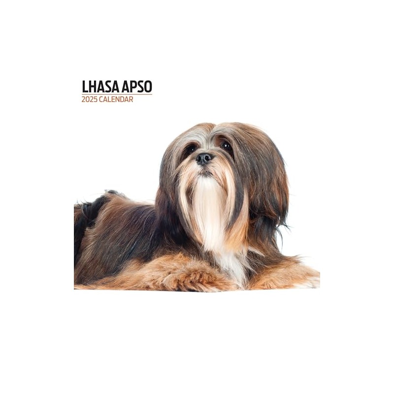 Lhasa Apso 2025 Modern Calendar