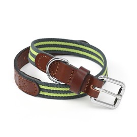 Mile High Life | Genuine Leather Dog Collar | Heavy Duty Canvas Dog Collars with Adjustable Rust-Proof Metal Pin Buckle | Boy Dog Collars for Medium Dogs(Pin Buckle-Lime Green)