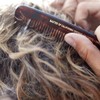 Baxter Of California Tortoiseshell Pocket Comb 13.3cm