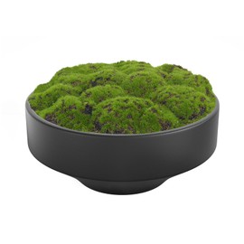 NAHARO New Moss Bowl, Handmade Ceramic. 11" Artificial Moss Bowl Centerpiece for Home Decoration, Living Room, Office