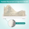 MedEduQuest Transparent Facial Injection Model, Facial Training Nose Model for