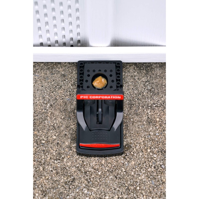 PIC Simple Set Plastic Mouse Traps, 2 Count, 12 Total