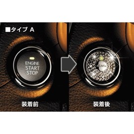 GARSON D.A.D Jewelry Push Starter Brooch TYPE-A SA771-01