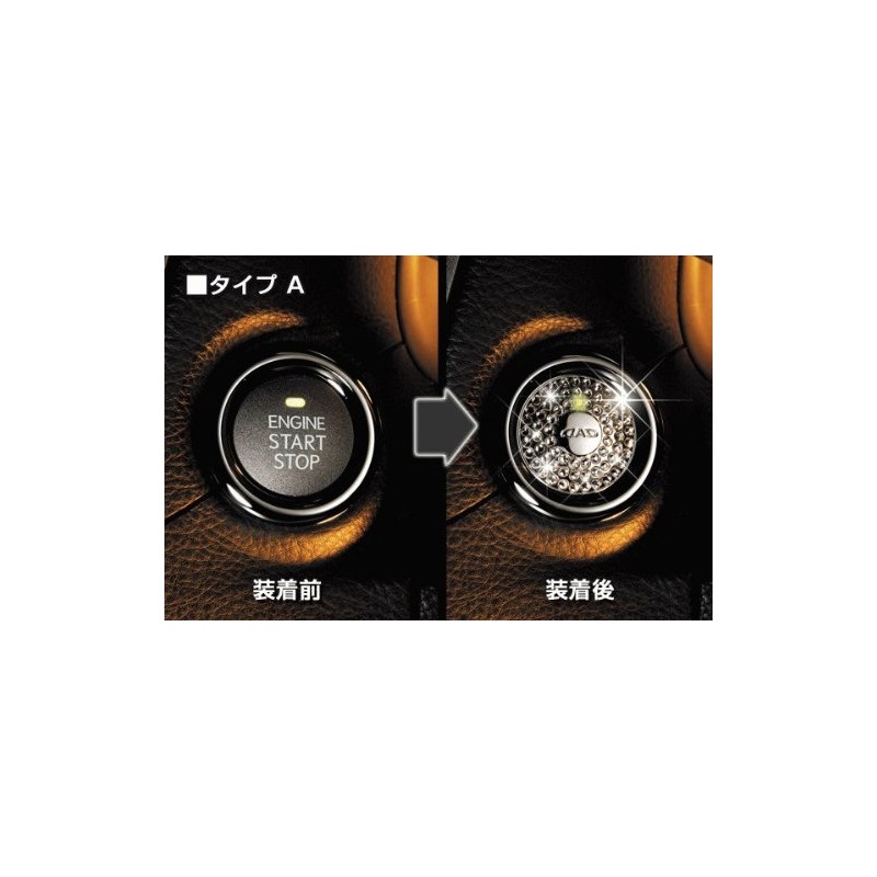 GARSON D.A.D Jewelry Push Starter Brooch TYPE-A SA771-01