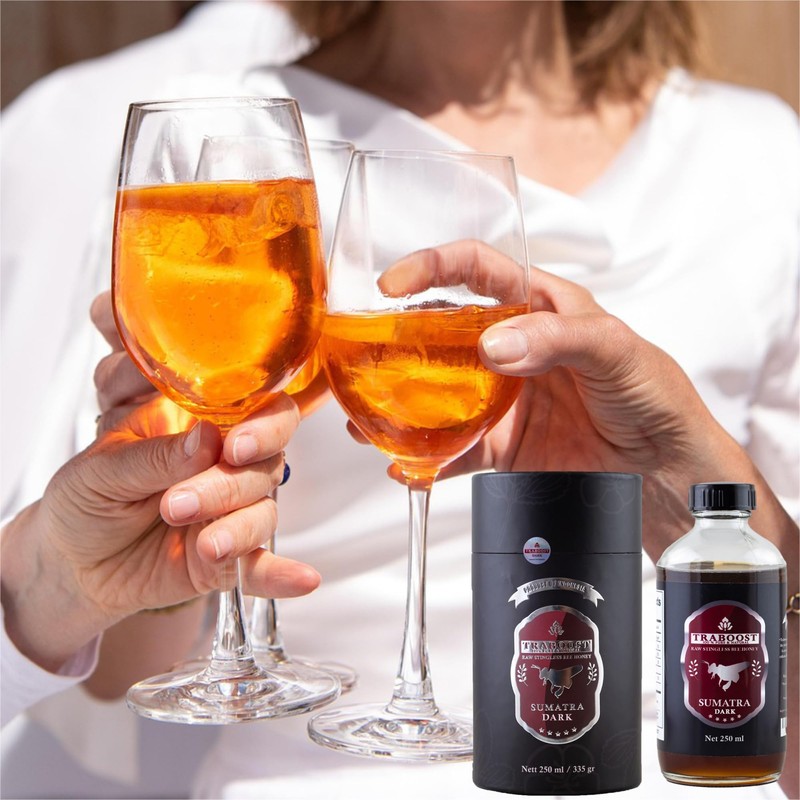 Traboost Stinglees Bee Honey from Sumatra Indonesia DARK | 250