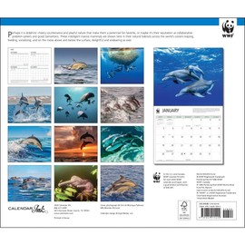 Calendar Ink, Dolphins WWF 2025 Wall Calendar