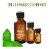 Oleum Vitae Aceite Esencial 100% Puro De Menta 120ml