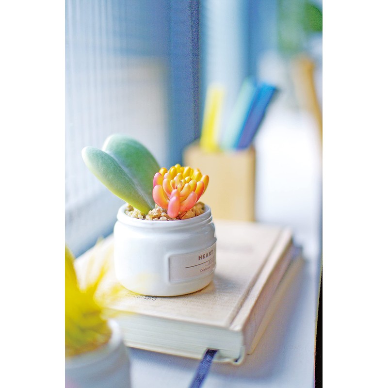 Kishima (Kishima) Eclea Deodorizing Artificial Green, Green, Size: Approx. W