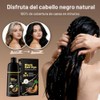 Meidu Champú Teñir Cabello Cubrir Canas Tinte Negro Natural Mujeres