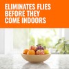 Terro Outdoor Reusable Fly Trap - Poison Free Solution