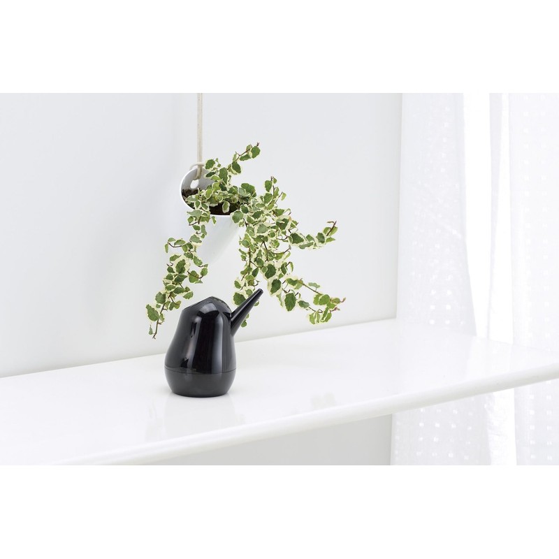 Richell Kotori Sashin, 200 Black